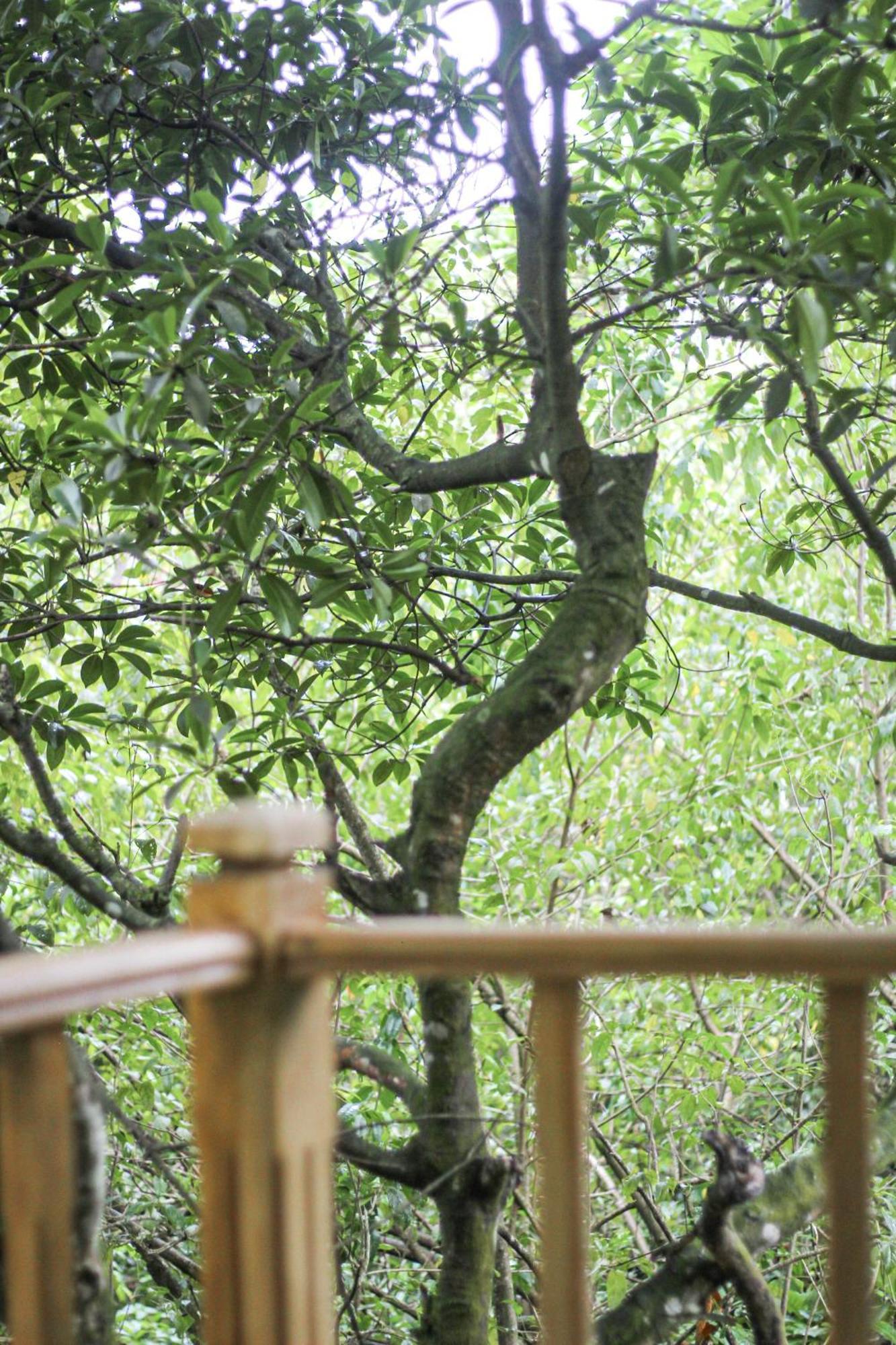 Seasons Four Mini Jungle Cabana Matara Zewnętrze zdjęcie