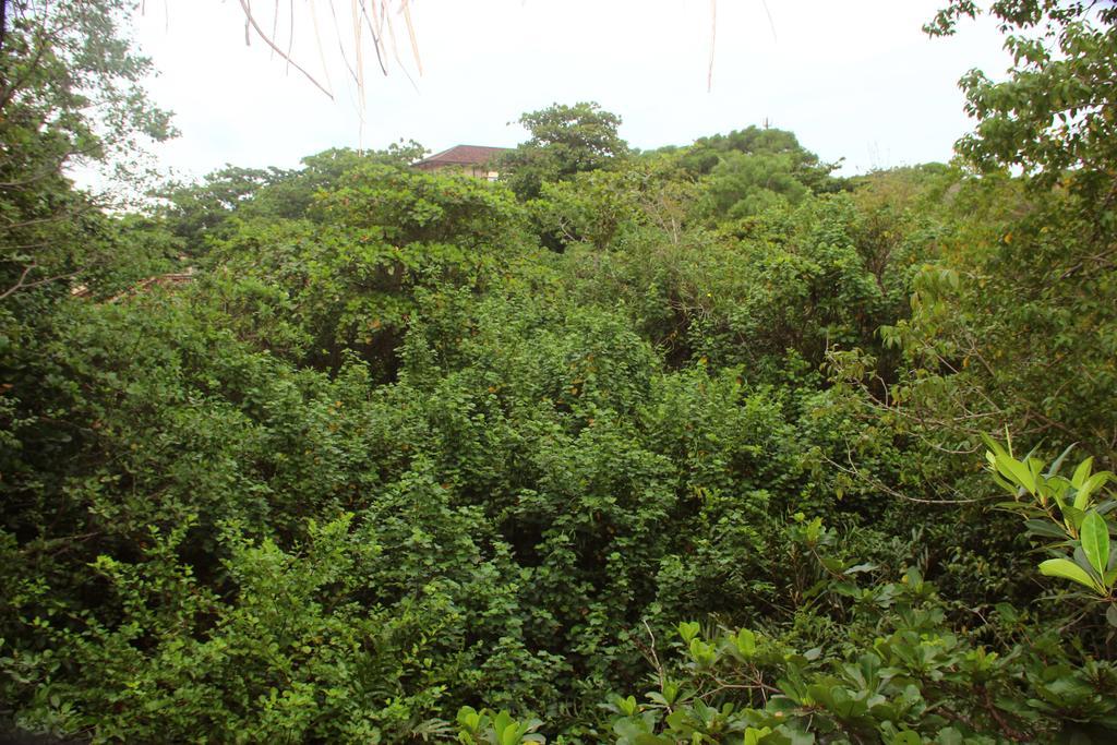 Seasons Four Mini Jungle Cabana Matara Zewnętrze zdjęcie